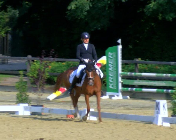 Reitturnier Stadtlohn 2024