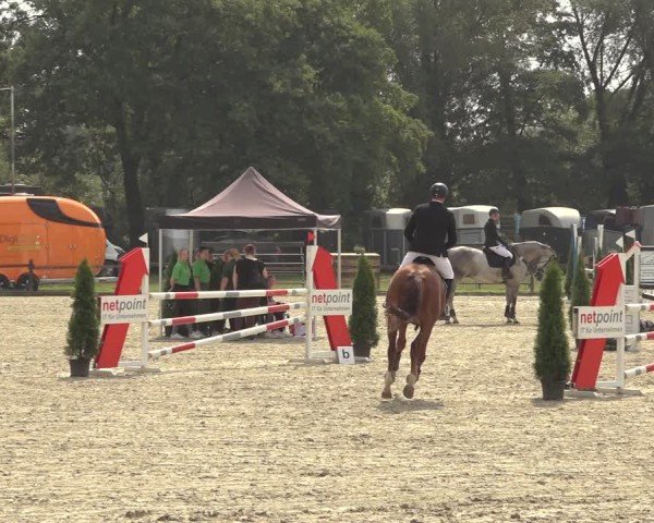 Reitturnier Nettetal-Lobberich 2024