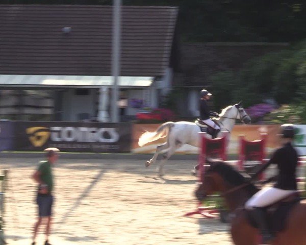 Reitturnier Klein Roscharden 2024