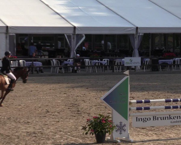 Reitturnier Klein Roscharden 2024