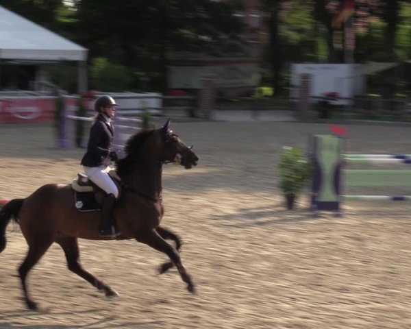 Reitturnier Klein Roscharden 2024