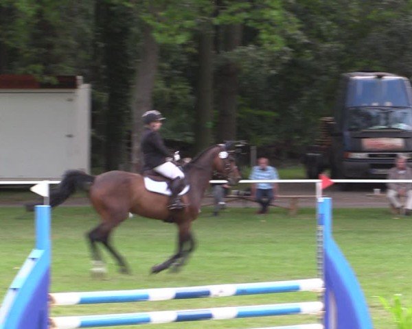 Reitturnier Zobbenitz 2024