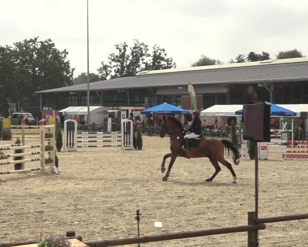 Reitturnier Nettetal-Lobberich 2024