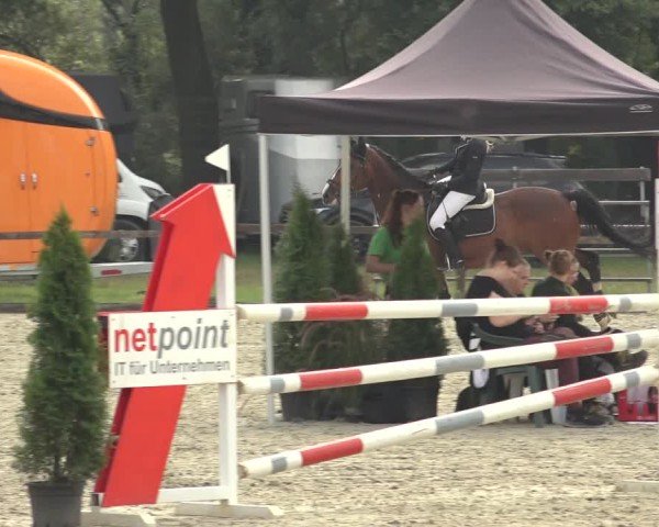 Reitturnier Nettetal-Lobberich 2024
