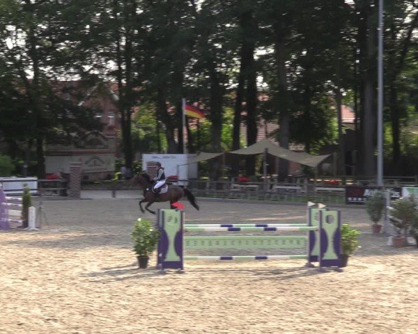 Reitturnier Klein Roscharden 2024