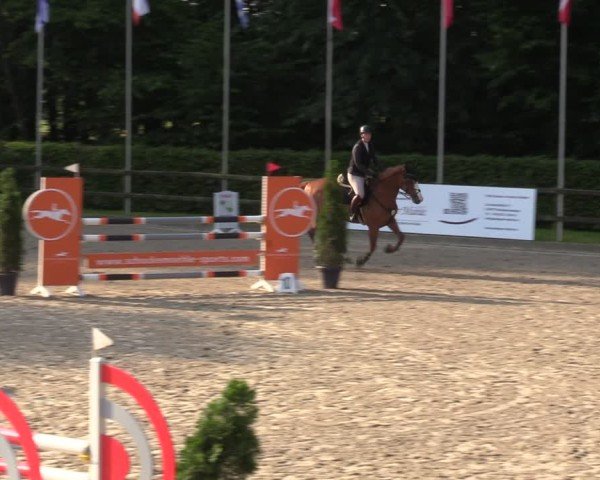 Reitturnier Klein Roscharden 2024