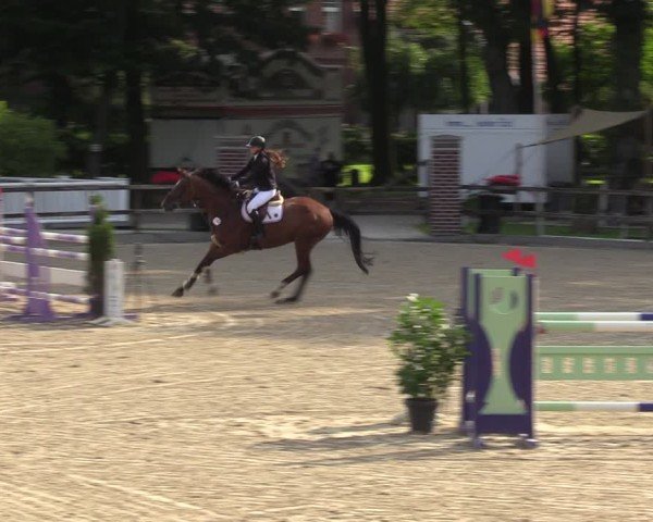 Reitturnier Klein Roscharden 2024