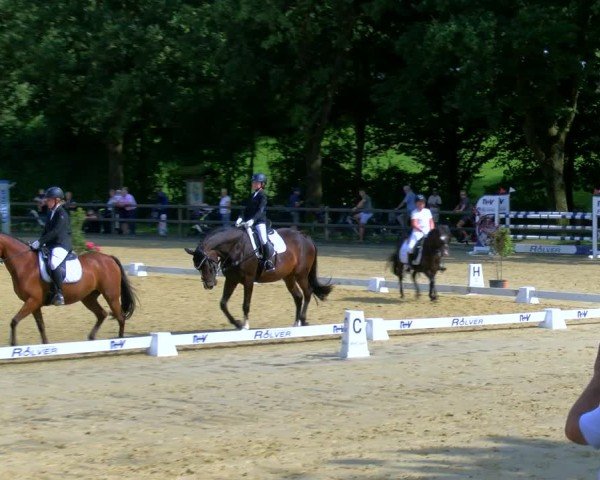 Reitturnier Stadtlohn 2024