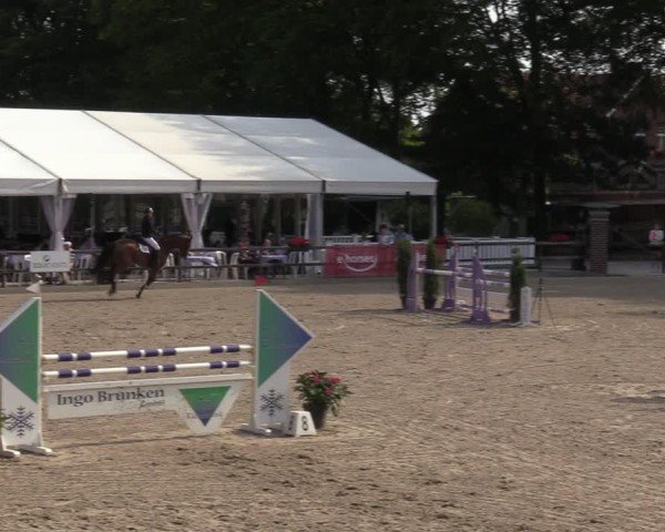 Reitturnier Klein Roscharden 2024