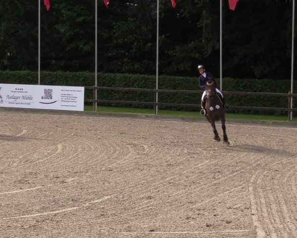 Reitturnier Klein Roscharden 2024