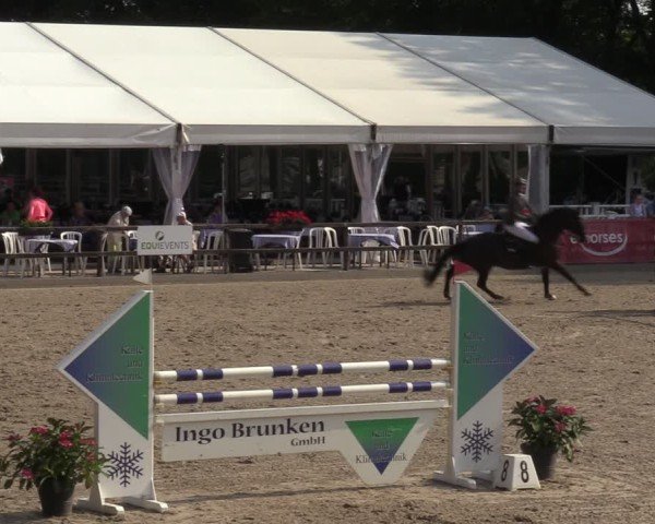Reitturnier Klein Roscharden 2024
