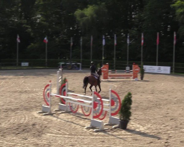 Reitturnier Klein Roscharden 2024
