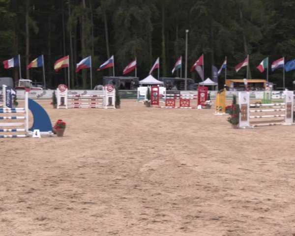Reitturnier Ranshofen - Braunau am Inn 2024
