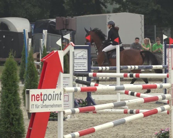 Reitturnier Nettetal-Lobberich 2024