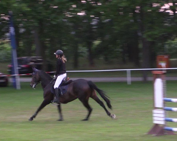 Reitturnier Zobbenitz 2024