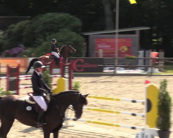 Reitturnier Klein Roscharden 2024