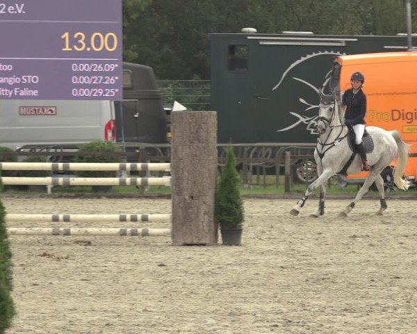 Reitturnier Nettetal-Lobberich 2024