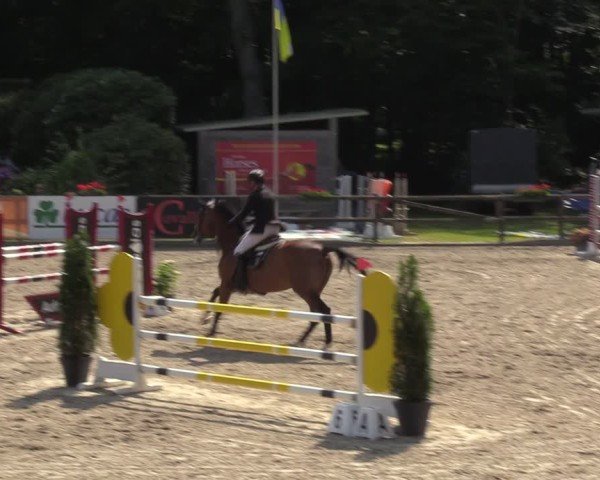 Reitturnier Klein Roscharden 2024