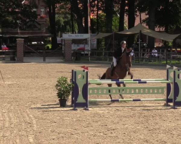 Reitturnier Klein Roscharden 2024