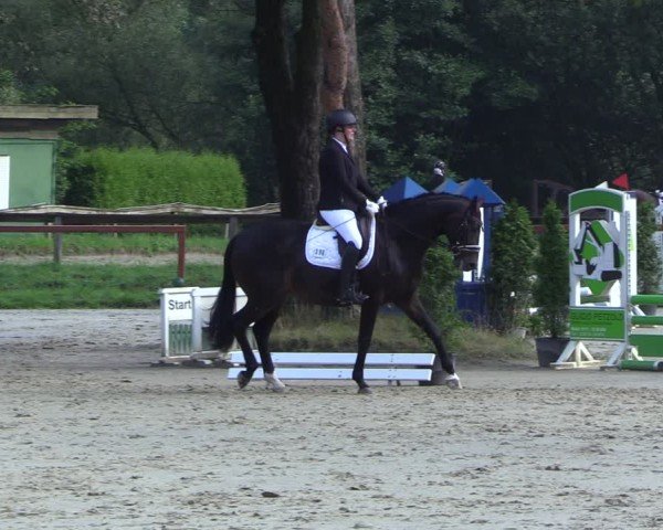 Reitturnier Arnsberg-Holzen 2024