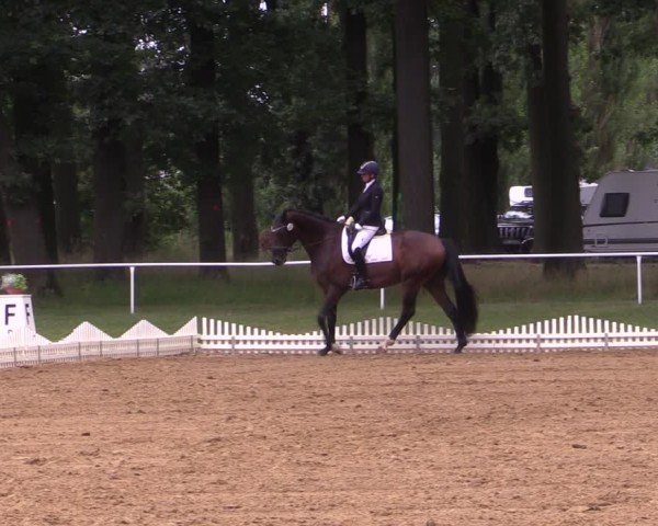 Reitturnier Zobbenitz 2024