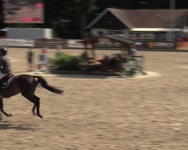 Reitturnier Klein Roscharden 2024