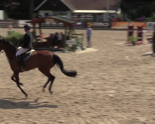 Reitturnier Klein Roscharden 2024