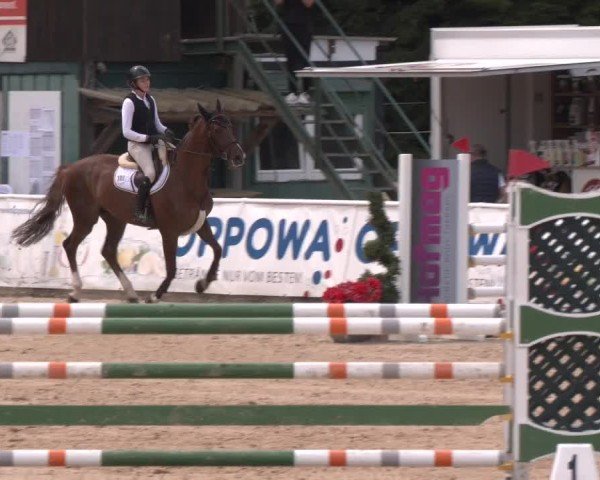 Reitturnier Ranshofen - Braunau am Inn 2024
