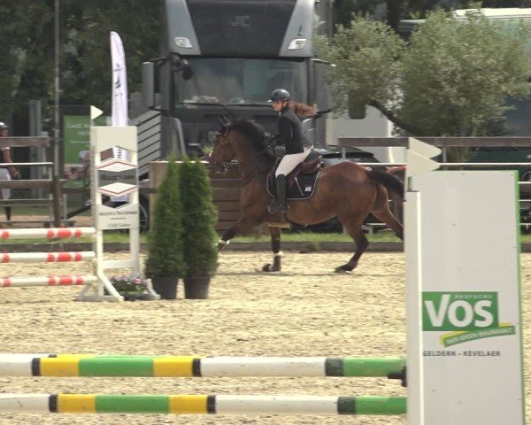 Reitturnier Nettetal-Lobberich 2024