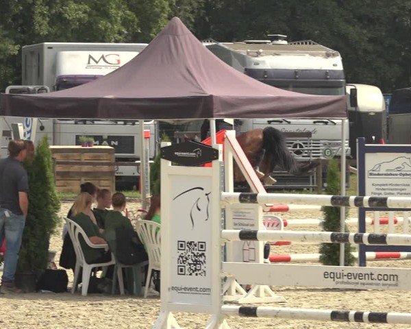 Reitturnier Nettetal-Lobberich 2024