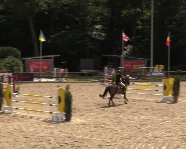 Reitturnier Klein Roscharden 2024