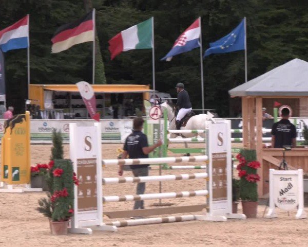 Reitturnier Ranshofen - Braunau am Inn 2024