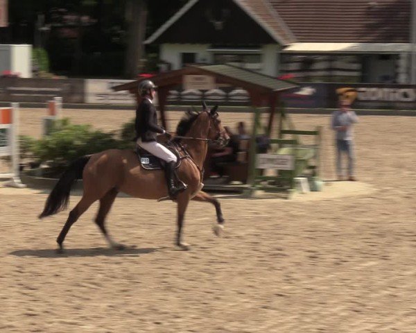 Reitturnier Klein Roscharden 2024