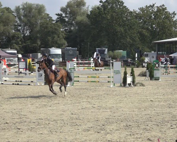 Reitturnier Nettetal-Lobberich 2024
