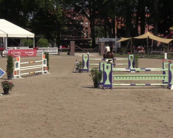 Reitturnier Klein Roscharden 2024