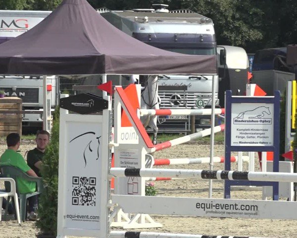 Reitturnier Nettetal-Lobberich 2024