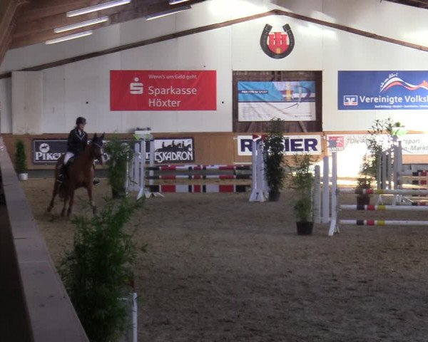 Reitturnier Steinheim 2021
