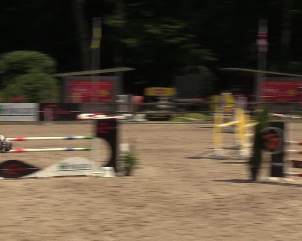 Reitturnier Klein Roscharden 2024