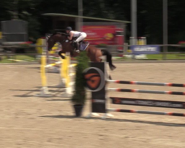 Reitturnier Klein Roscharden 2024