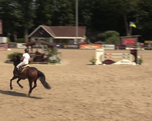 Reitturnier Klein Roscharden 2024
