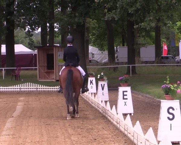 Reitturnier Zobbenitz 2024