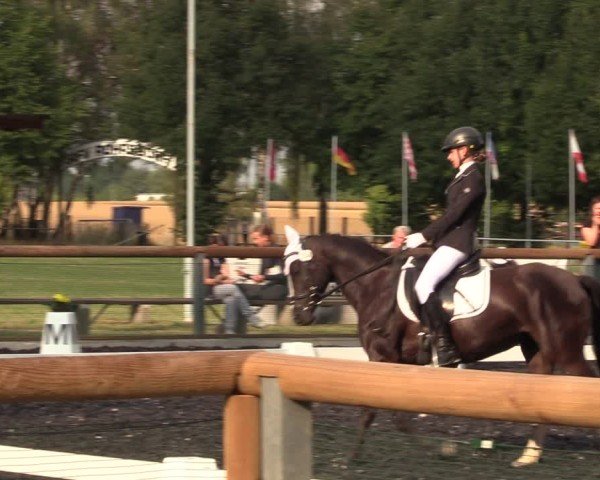 Reitturnier Röhrsdorf/ Chemnitz 2024
