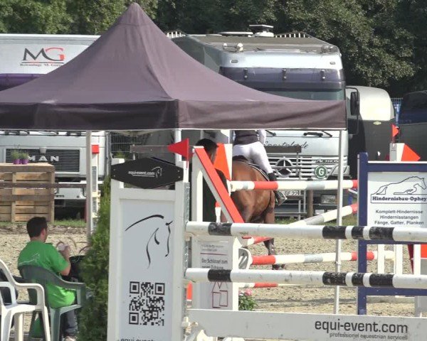 Reitturnier Nettetal-Lobberich 2024