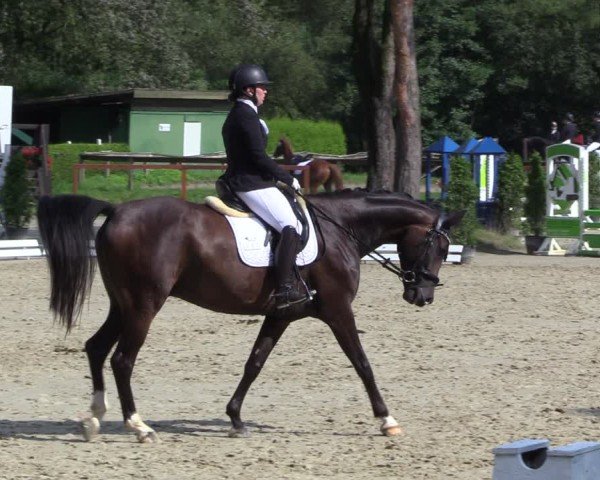 Reitturnier Arnsberg-Holzen 2024