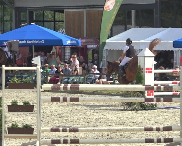 Reitturnier Nettetal-Lobberich 2024