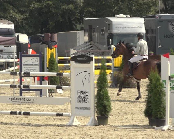 Reitturnier Nettetal-Lobberich 2024