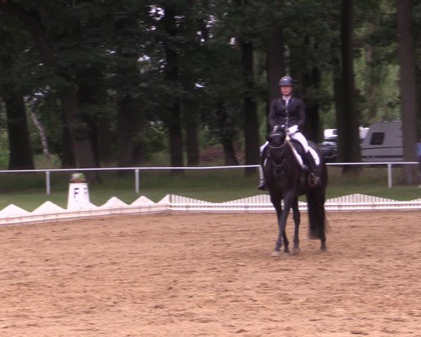 Reitturnier Zobbenitz 2024