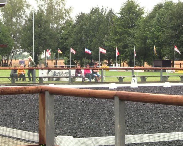 Reitturnier Röhrsdorf/ Chemnitz 2024
