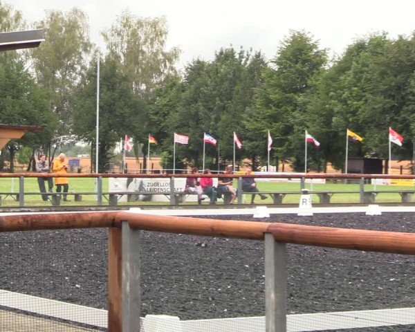 Reitturnier Röhrsdorf/ Chemnitz 2024