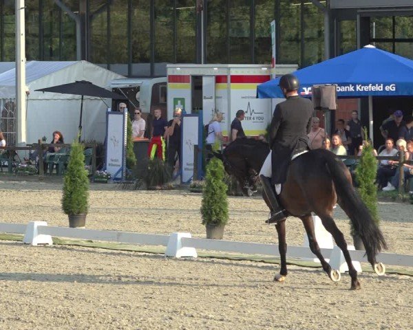Reitturnier Nettetal-Lobberich 2024